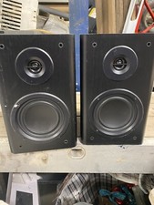 Pair of Black Sandstrom
