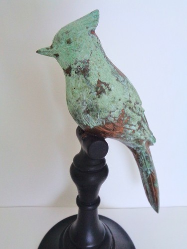 Bird black perch - black,