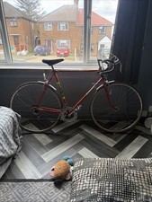 15 speed 1980s Raleigh Racer