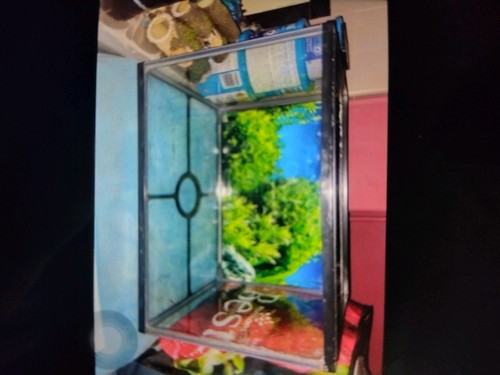 Fish tank aquarium - tank,