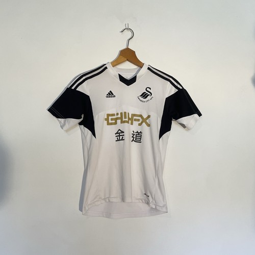 Swansea city 2013 - city, home