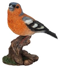 Chaffinch Bird - Lifelike