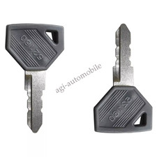 2 Pcs Ignition Keys