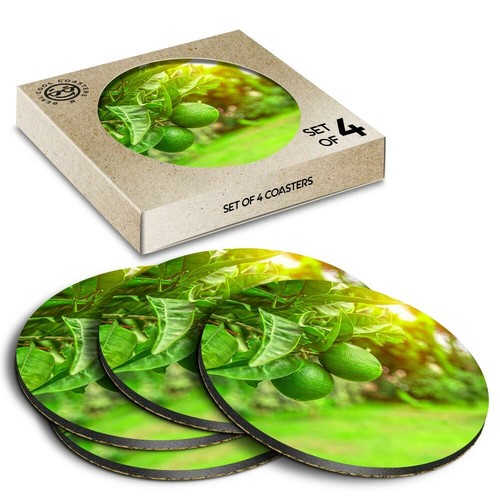 Boxed round coasters - 4,