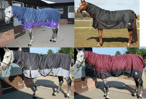 Heavyweight horse turnout - heavyweight,