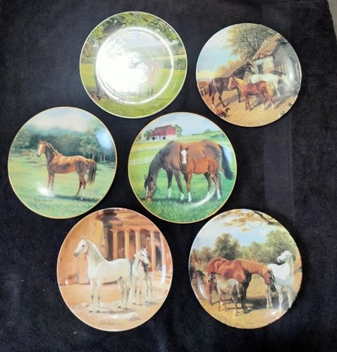 Horse collector plate bundle - horse,
