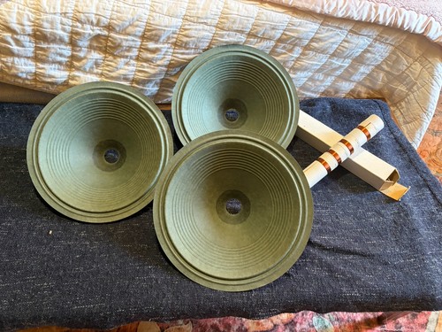 Rare alnico speaker - 1x,