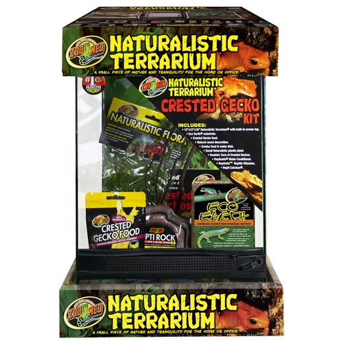 Zoomed naturalistic terrarium - zoomed,