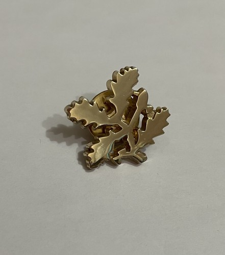 National trust gold tone pin - tone,