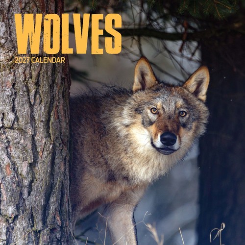 Wolves 2027 calendar - 2027,