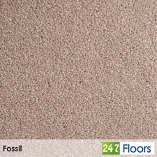 Fossil Hampstead 50oz Carpet