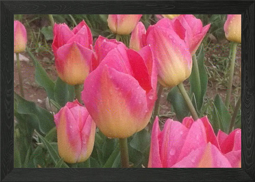 Nature beautiful framed - beautiful,