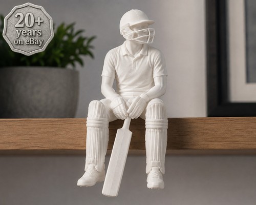 Cricket player ledge - player,