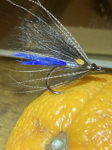 Fly fishing sea trout sewin - fishing,
