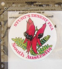 OLD STURT'S DESERT PEA SOUTH