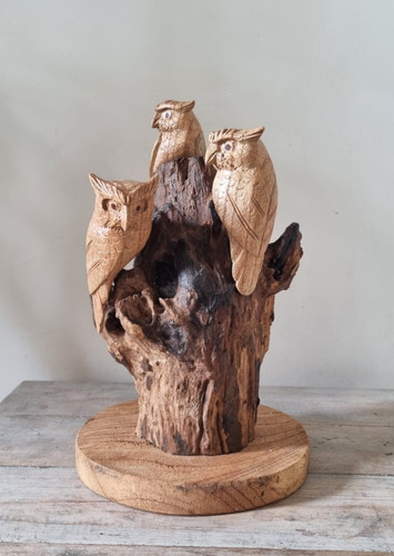 Wooden carved owls teak - carved, owls/teak