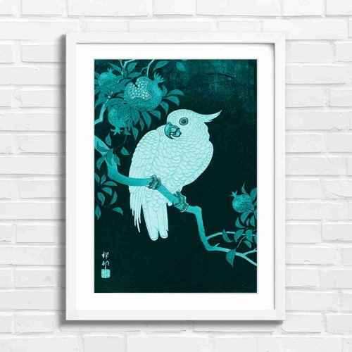 White cockatoo with - white,