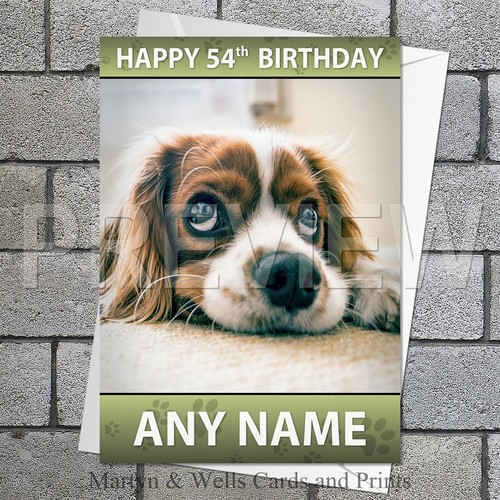 King charles spaniel - charles,