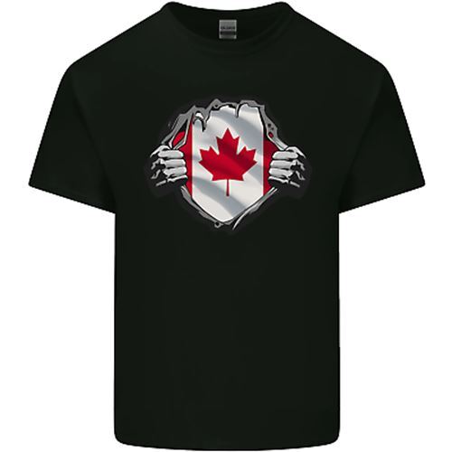 Canadian flag ripped torn - canadian,