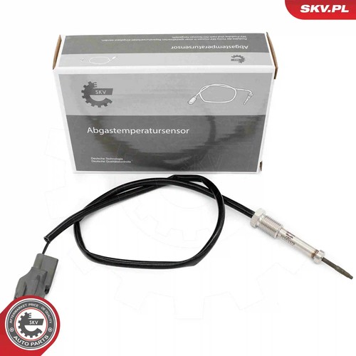 Sensor exhaust gas - exhaust, temperature