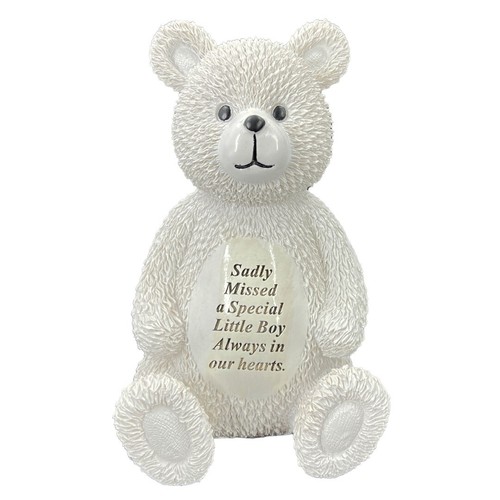 Special little boy - baby, teddy