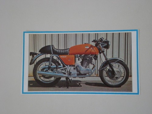 Newspaper clipping 1981 - newspaper,