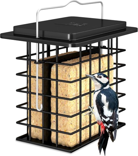 Double suet feeder for outside - suet,