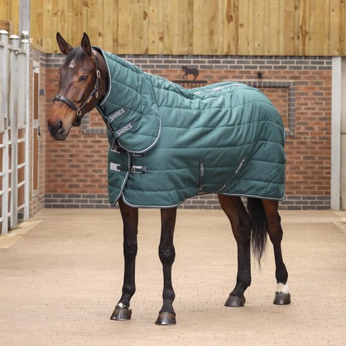 Shires tempest original - shires,