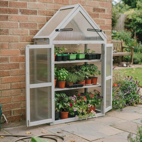 Compact dove grey cedar - compact,