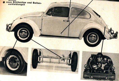 Progress year 1965 66 - year, 1965/66