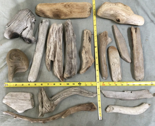 Oregon coast driftwood lot - driftwood,