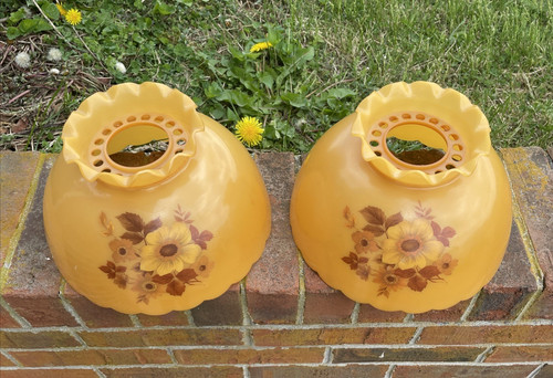 Pair vtg oil - pair,