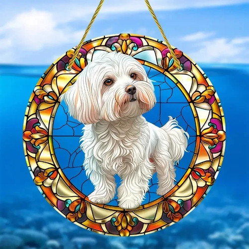 White maltese dog - white,