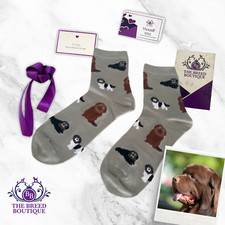 NEWFOUNDLAND DOG FUN SOCKS