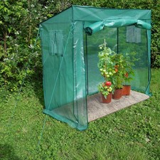 2NDS Greenhouse TOMATO 23038 4693
