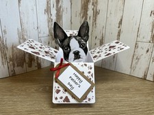 Boston Terrier Dog Father’s