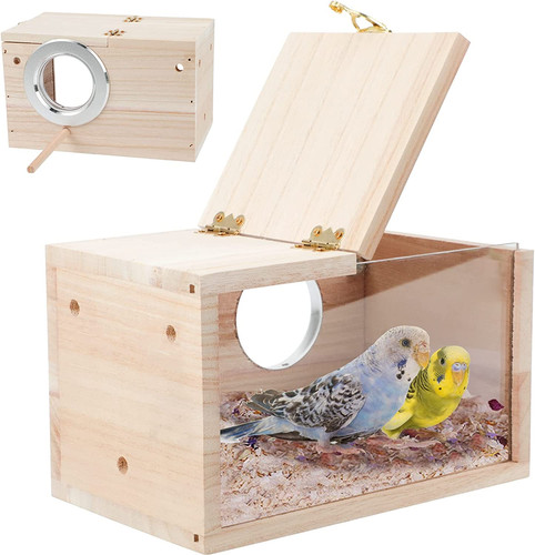 Parakeet nesting box - parakeet,