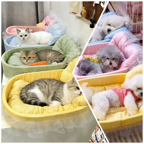 Cute lace trimmed dog cat - lace-trimmed,