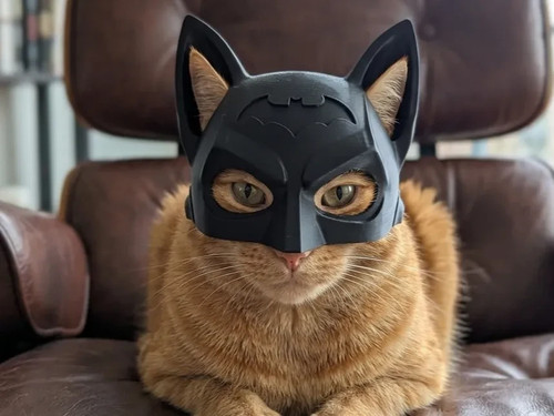 The best batman - , cat
