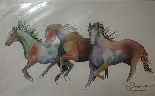 Pam sharp amigos - sharp, x3”