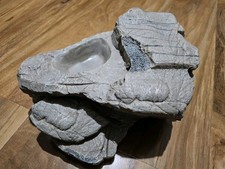 Reptile Cave Hides Komodo Rock