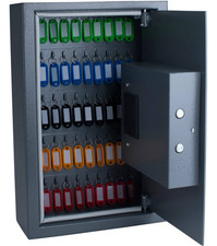 Pavo High Security Electronic