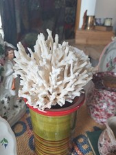 Large vintage birds nest - , coral
