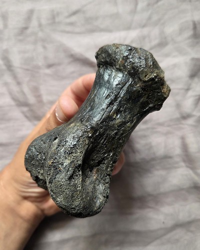 Ultra rare nanotyrannus - ultra,