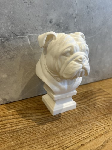 English bulldog bust 5inch - english,