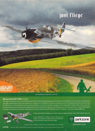 Parkzone 2009 print - print, ad