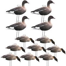 Silhouette Pinkfoot Goose