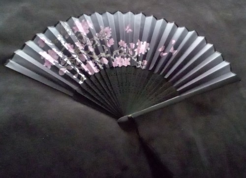 Black pink cherry blossoms - pink,
