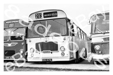 Bus Photograph MIDLAND