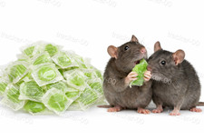 Strong rat poison - single, feed